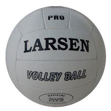 Мяч волейбольный Larsen Pro