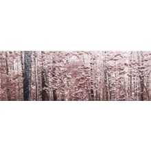 Azulev Pure Multicolor Trees Decor 20x60 см