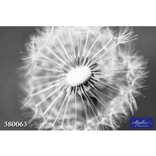 Фреска Applico 380063