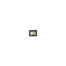 GARMIN Nuvi 550 Europe (010-00700-00)