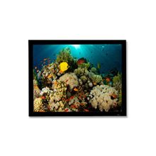 Draper Draper Onyx 91x163