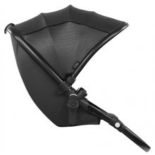 Egg Прогулочная Jurassic Black & Black Chassis