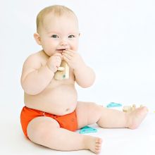 Kanga Care Многоразовый Rumparooz Onesize Poppy