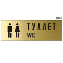Информационная табличка «Туалет WC с пиктограммой» прямоугольная Д169 (300х100 мм)