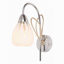 SilverLight Avallon 216.48.1