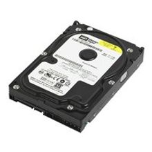 Жесткий диск SATA 320Gb WD Caviar Blue (WD3200AAJS) {Serial ATA II, 7200 rpm, 8Mb buffer}