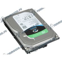 Жесткий диск 1000ГБ Seagate "SkyHawk Surveillance ST1000VX005", 64МБ (SATA III) (oem) [135692]