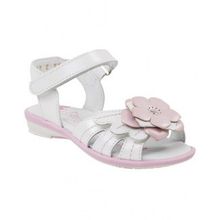 Котофей белые с цветком