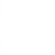 Обои виниловые BN International Vintage BN 50533