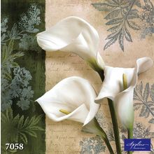 Фреска Applico 7058