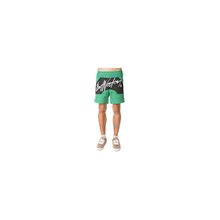 Шорты Bat Norton Unisex Basic Shorts Green