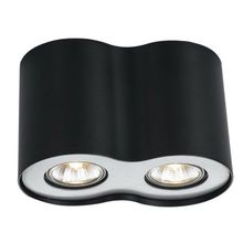 Потолочный светильник Arte Lamp A5633PL-2BK FALCON