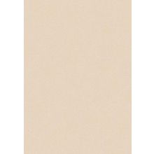 Обои виниловые Erismann Paradise 2 5226-25