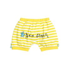 Pelican для девочки футболка и шорты Emerald