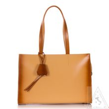 Сумка Giorgio Ferretti 35297 7 7A