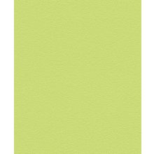 Обои виниловые Rasch Kids & Teens II 469035