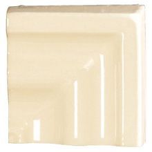 Tonalite Diamante Champagne Angolo Specchio Bordo 8x8 см