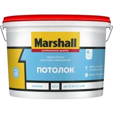Marshall Потолок 2.5 л белая