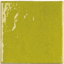 Tonalite Provenzale Verde Lime 15x15 см