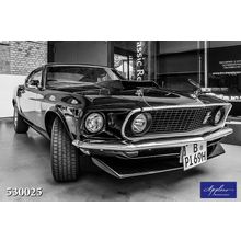 Фреска Applico 530025