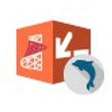 DevArt DevArt SSIS Data Flow Components - for ExactTarget Standard single license