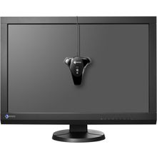 Монитор eizo coloredge cx241-bk, 24.1" (1920x1200), ips, dvi, hdmi, dp