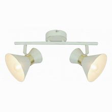 Arte Lamp Baltimore A1406AP-2WG