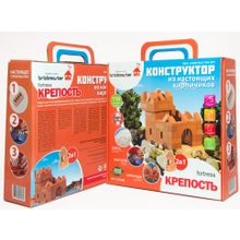 Конструктор BRICKMASTER Крепость 2 в 1 (119 деталей)