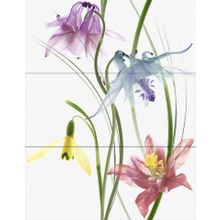 Керамическая плитка Novogres Wind Zaida Decor (3 шт.) панно 70х90