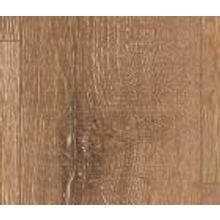 Дуб Барбаросса