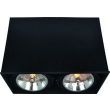 Потолочный светильник Arte Lamp A5936PL-2BK CARDANI