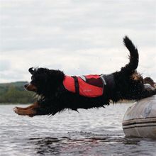 CrewSaver Спасательный жилет для собак CrewSaver Petfloat 2370-M 35 - 45 см