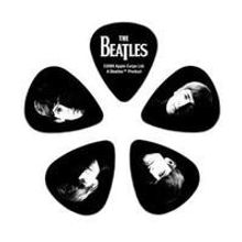 1CBK6-10B2 BEATLES PICKS MEET THE BEATLES HEAVY