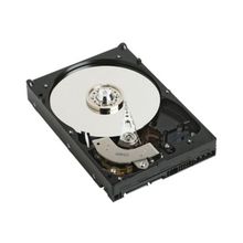server HDD 250Gb WD 2503ABYX RE