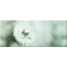 Керамическая плитка Керамин Концепт 7О тип 1 одуванчик панно 20х50
