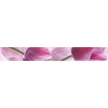 Керамическая плитка Cerrol Imperia Listwa Tulipany Tulipa бордюр 6,5х50