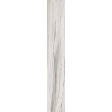 Unicom Starker Timeless Shell Naturale Rettificato 15x90 см