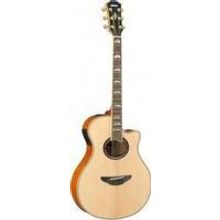 APX-1000 NT
