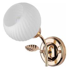 Toplight Бра TopLight Maria TL3510B-01FG ID - 422647