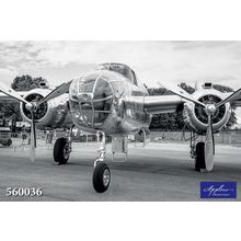 Фреска Applico 560036