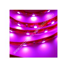 Розовая светодиодная лента  MK-3528-60