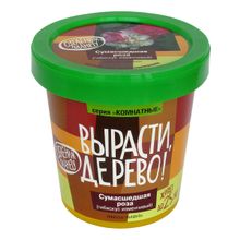 Набор для выращивания ВЫРАСТИ ДЕРЕВО! Сумасшедшая роза