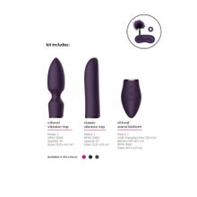 Фиолетовый эротический набор Pleasure Kit №4 (216069)