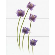 Керамическая плитка Novogres Wind Sara Decor (3 шт.) панно 70х90