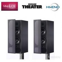 PMS fact.3 Graphite Poplar