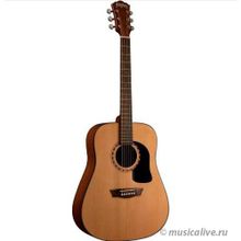 WASHBURN WASHBURN AD5