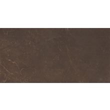 Керамическая плитка Altacera Ryan Marble Marron WT9MRB21 настенная 24,9х50