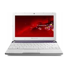 Ноутбук Packard Bell DOTS-C-261G32nuw Atom N2600 1 320 WiFi Win7St 10.1" 1.14 кг