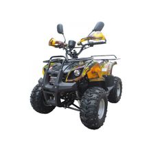 Mini ATV SHERHAN 800