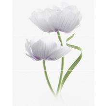 Керамическая плитка Novogres Wind Alissa Decor (3 шт.) панно 70х90